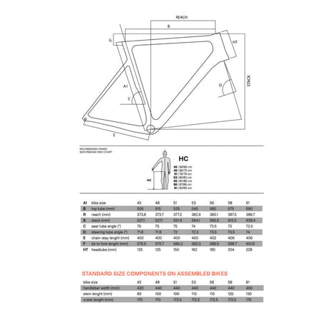 Basso Venta Disc Frameset | The Bike Affair