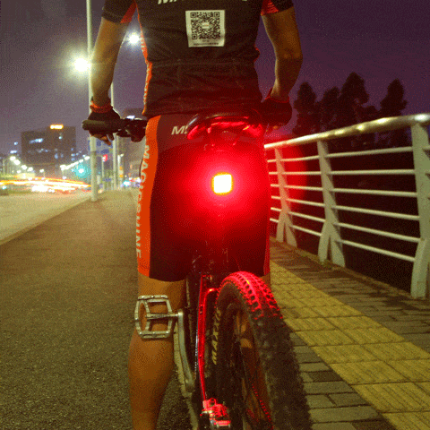 Magicshine Seemee 60 Tail Light | The Bike Affair