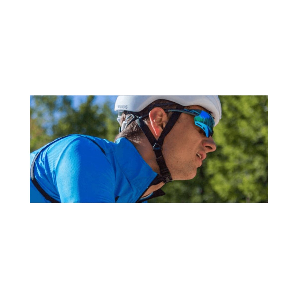 Tifosi Alliant Sunglasses | The Bike Affair