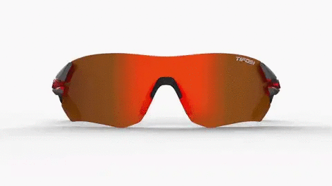 Tifosi Tsali Sunglasses | The Bike Affair