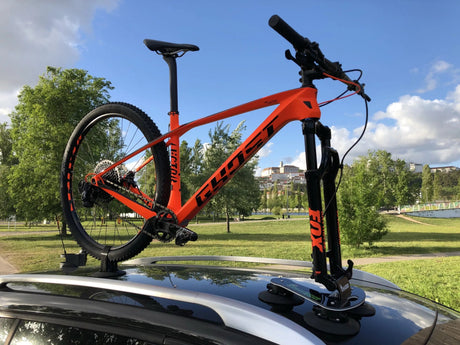 TreeFrog Pro 1 Bike Rack | The Bike Affair