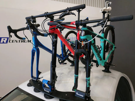 TreeFrog Pro 3 Bike Rack | The Bike Affair