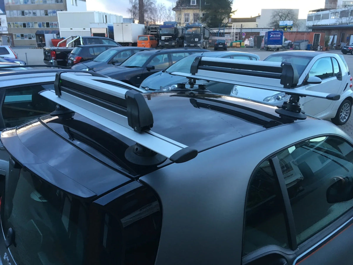 TreeFrog Roof Rack Crossbar | The Bike Affair