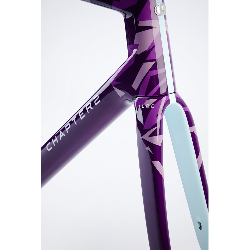 Chapter 2 TERE All-Road Disc Brake Frameset | The Bike Affair