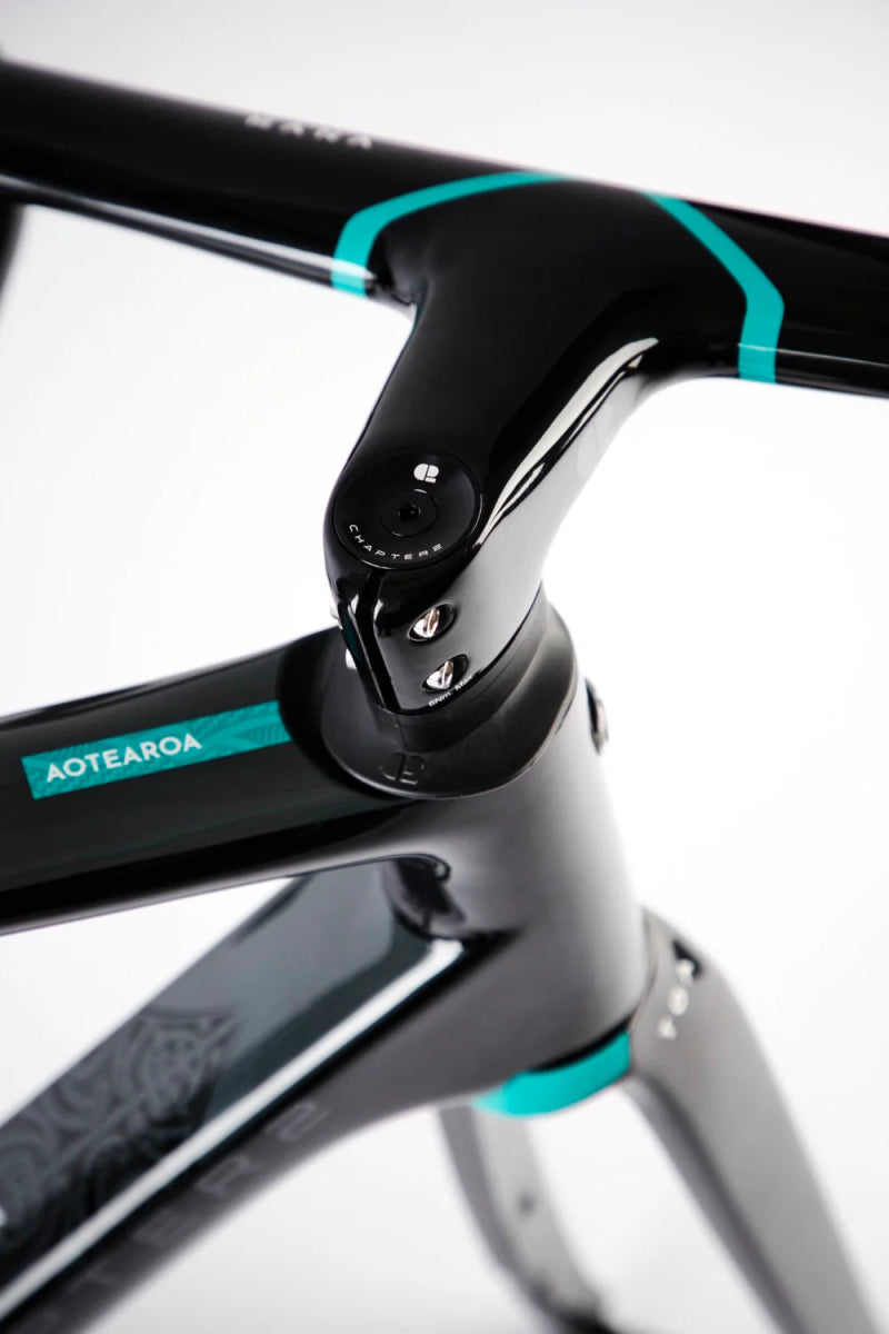 Chapter 2 TOA Race Disc Brake Frameset | The Bike Affair