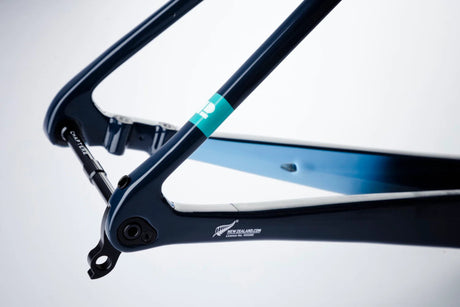 Chapter 2 TOA Race Disc Brake Frameset | The Bike Affair