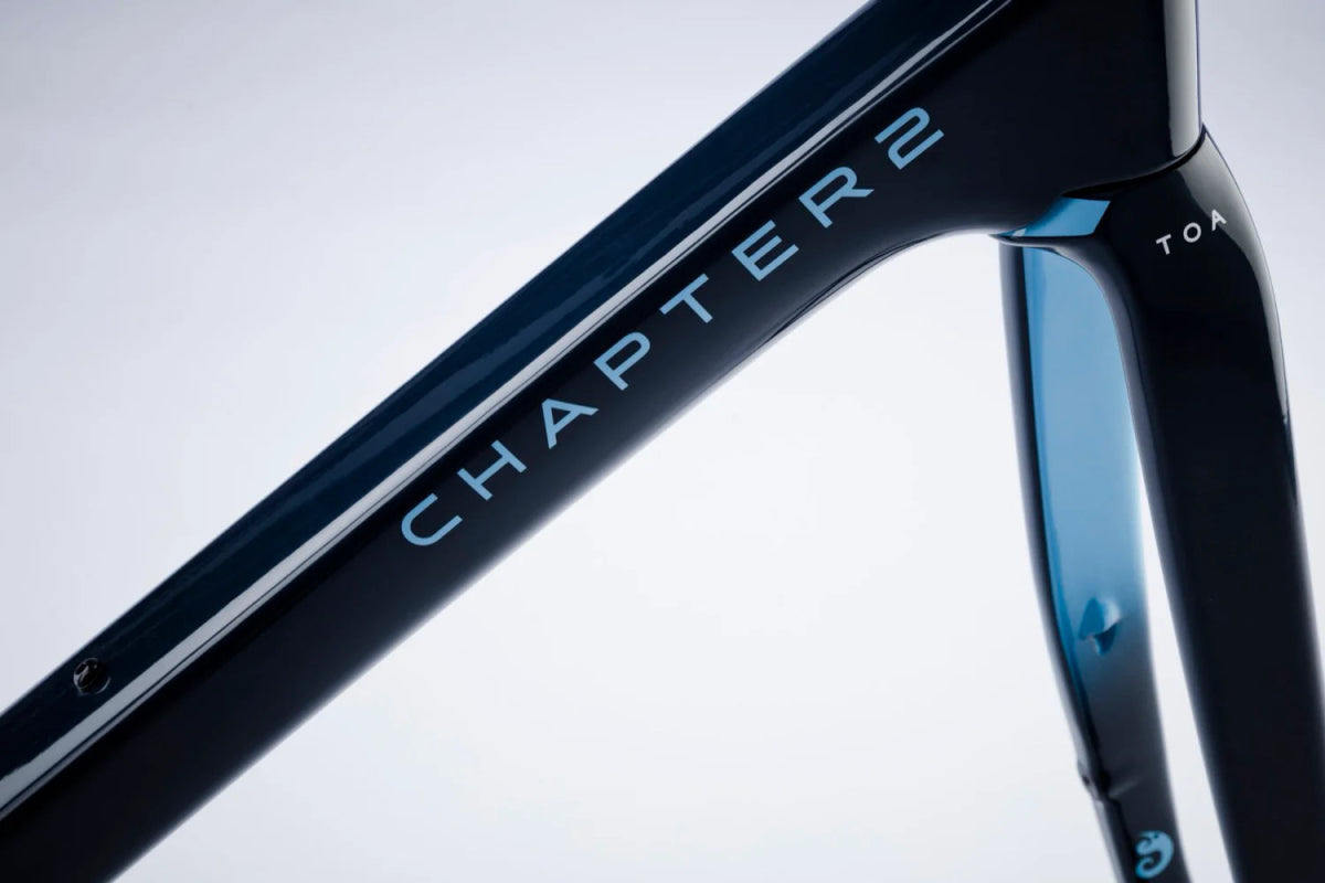 Chapter 2 TOA Race Disc Brake Frameset | The Bike Affair